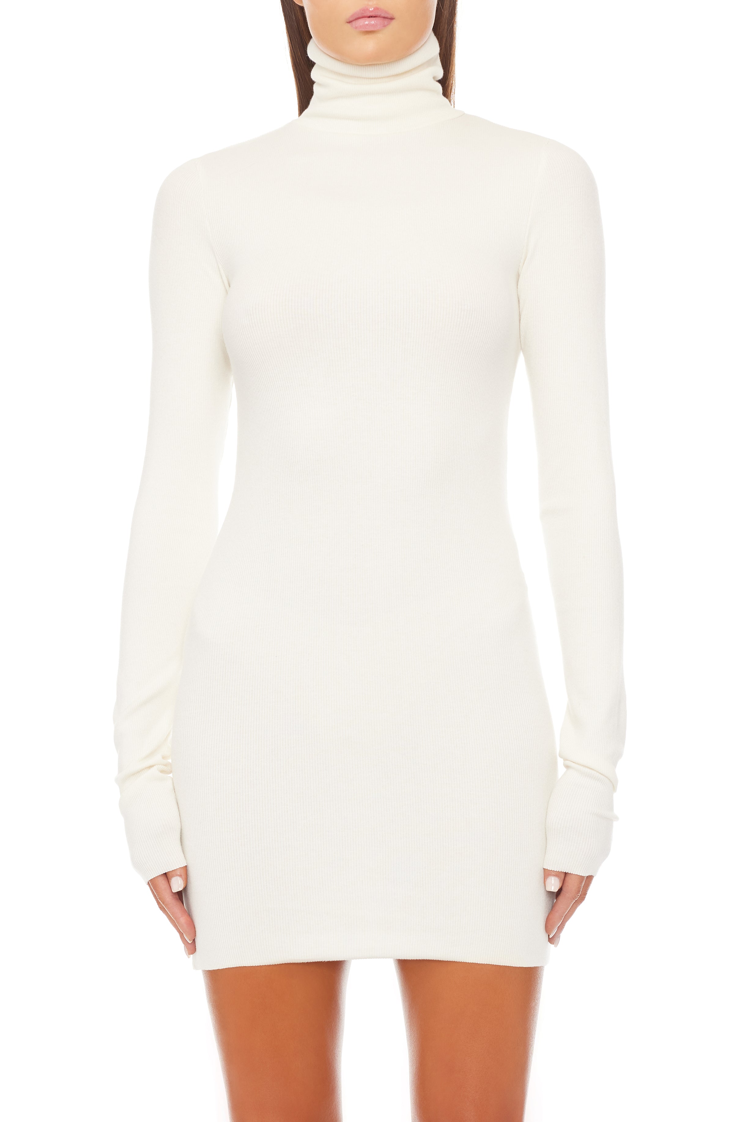 LONG SLEEVE TURTLENECK MINI DRESS - ÉTERNE