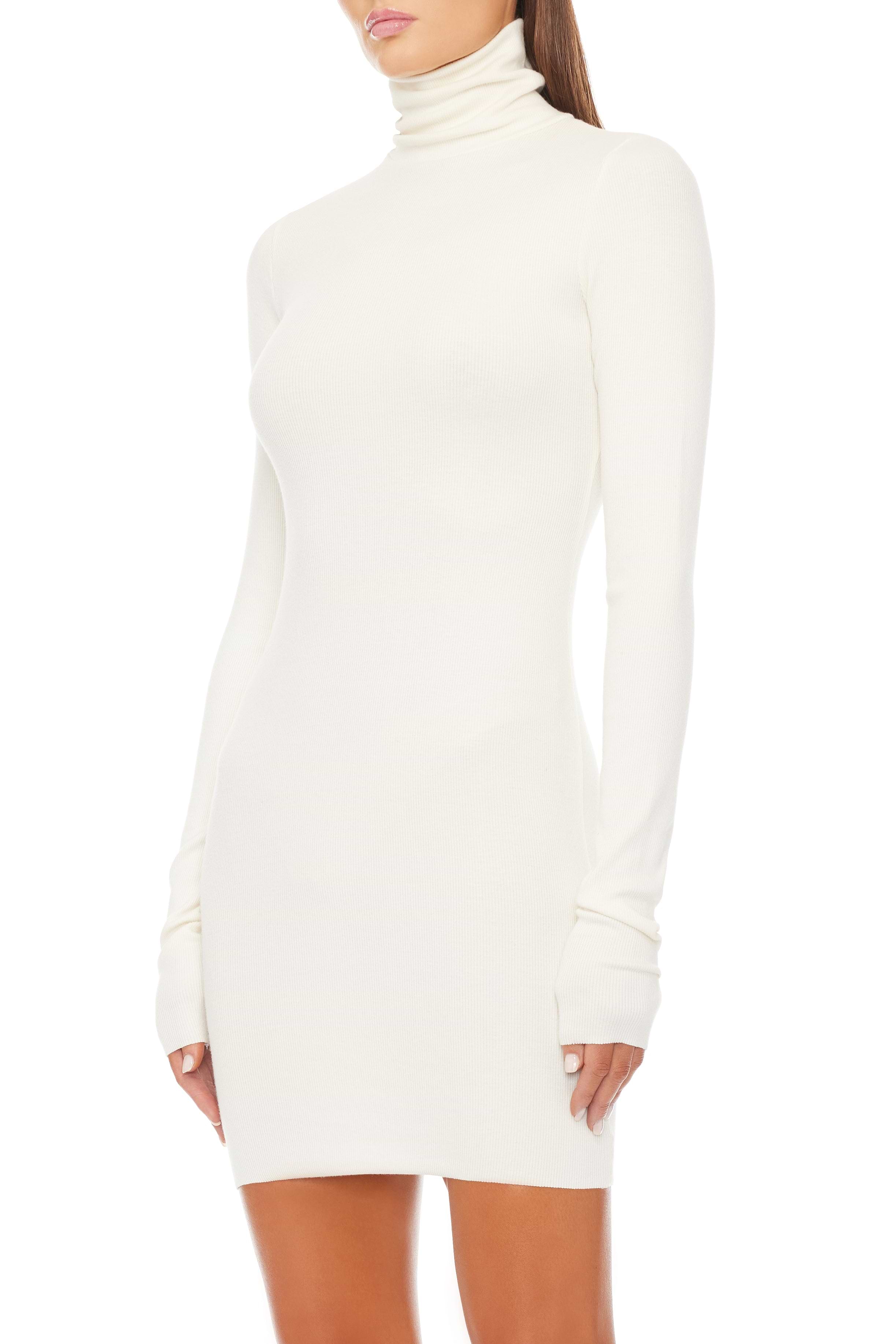 LONG SLEEVE TURTLENECK MINI DRESS - ÉTERNE