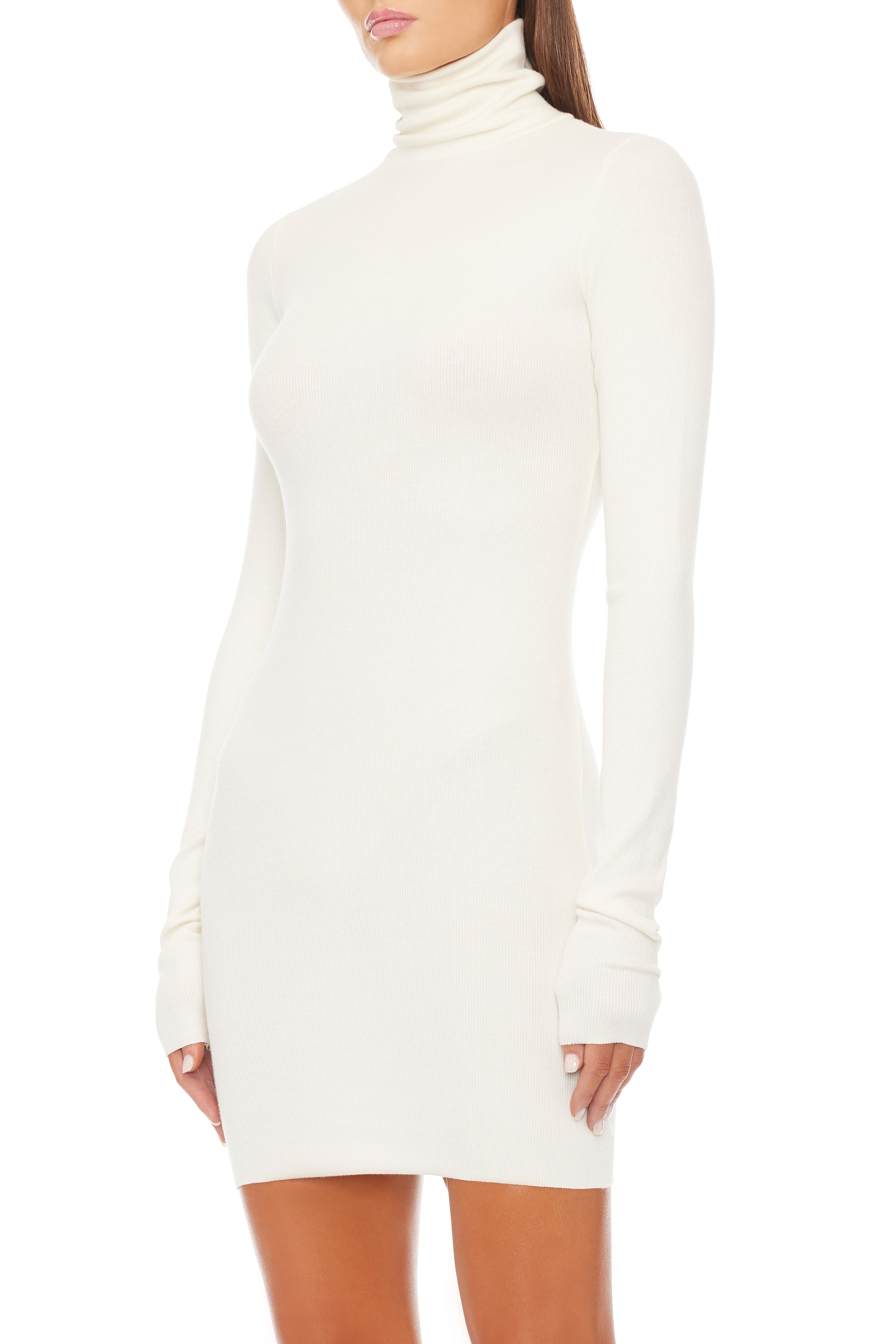 LONG SLEEVE TURTLENECK MINI DRESS - ÉTERNE