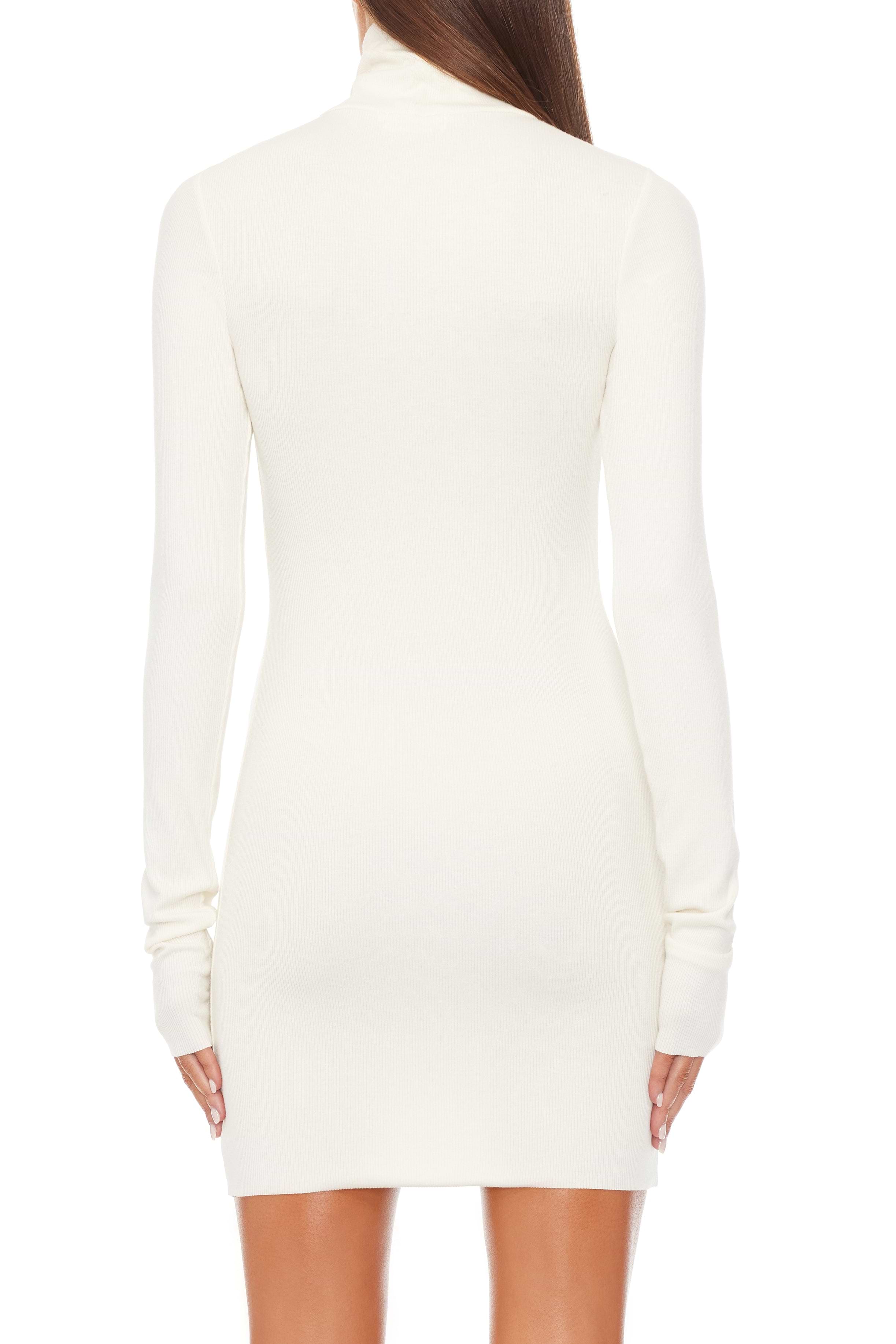 LONG SLEEVE TURTLENECK MINI DRESS - ÉTERNE