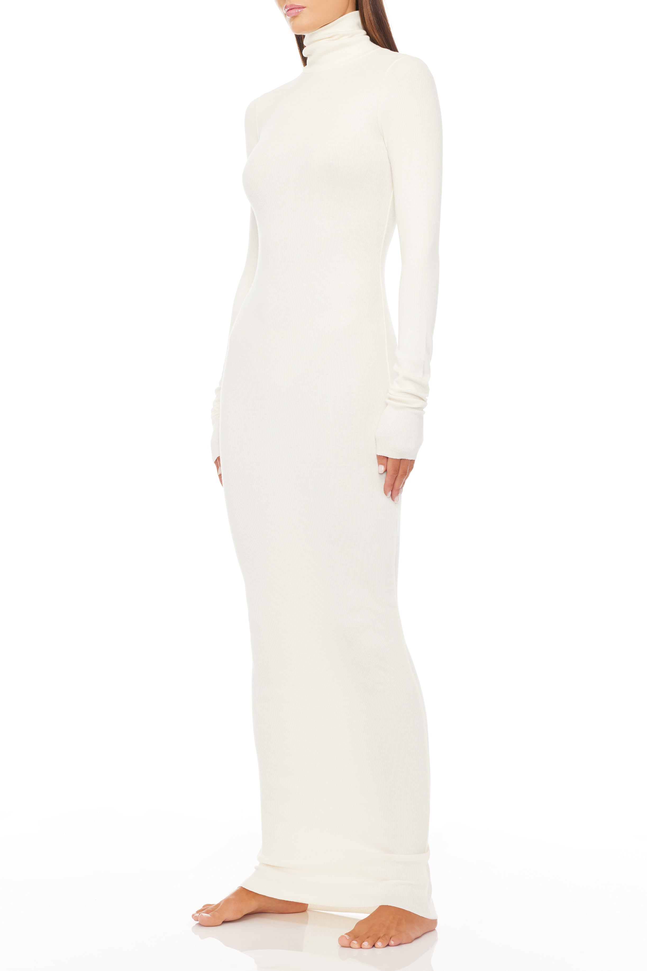 LONG SLEEVE TURTLENECK MAXI DRESS - ÉTERNE