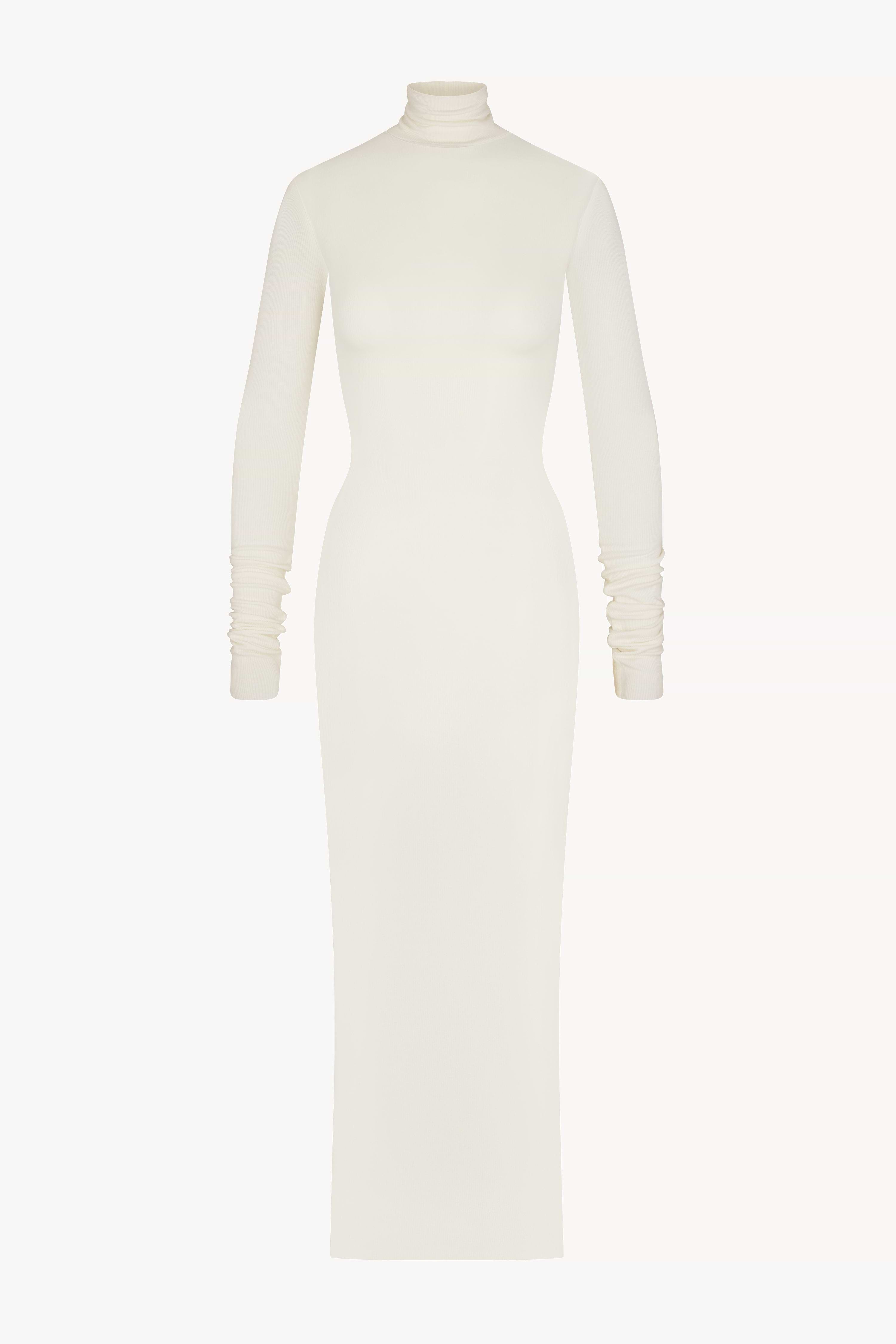 LONG SLEEVE TURTLENECK MAXI DRESS