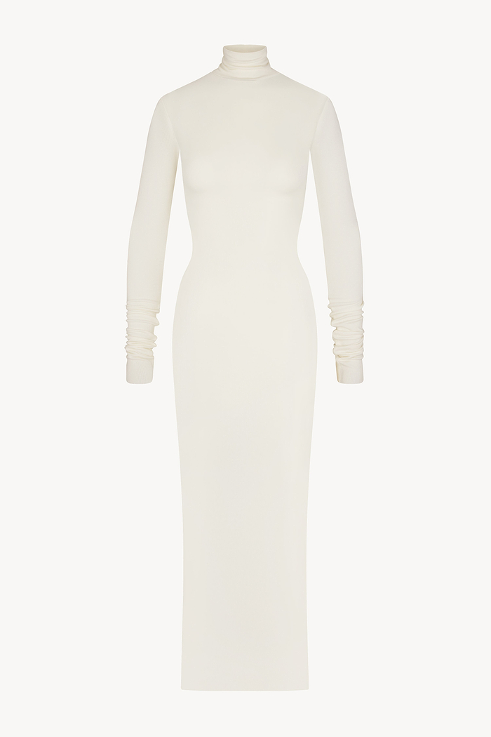 LONG SLEEVE TURTLENECK MAXI DRESS