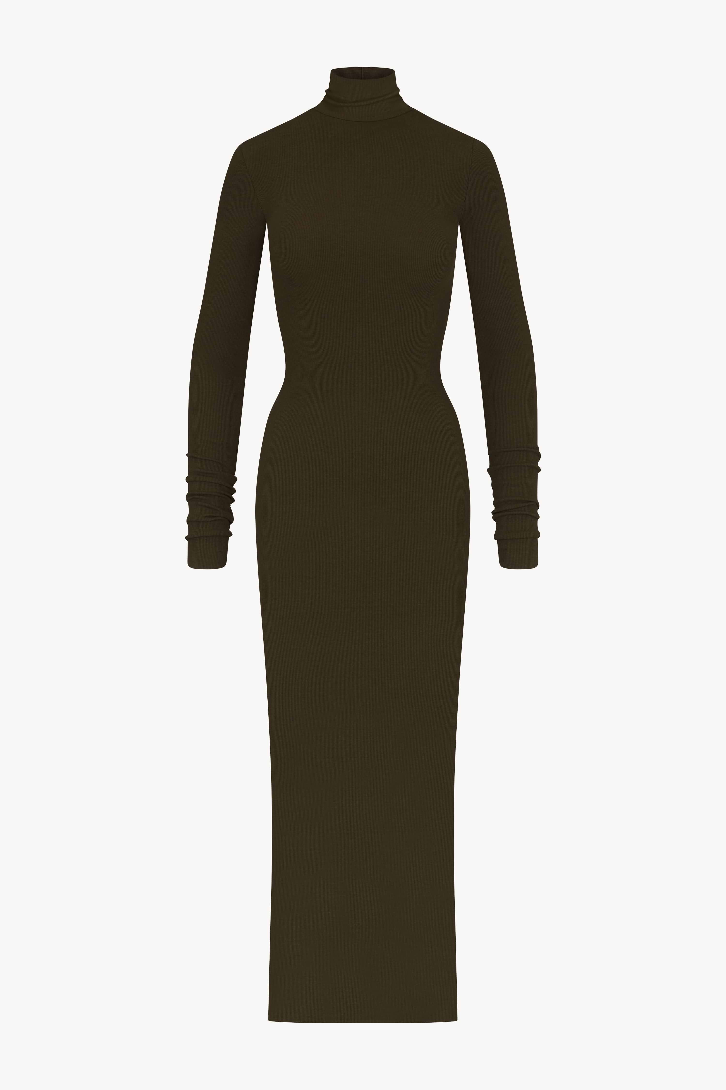 LONG SLEEVE TURTLENECK MAXI DRESS