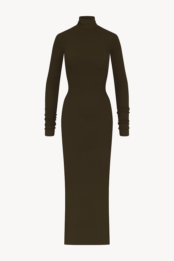 LONG SLEEVE TURTLENECK MAXI DRESS