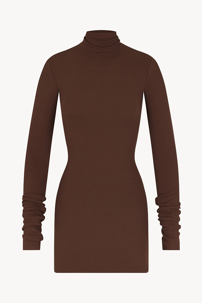 LONG SLEEVE TURTLENECK MINI DRESS