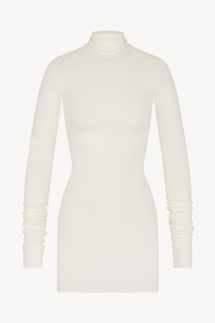 LONG SLEEVE TURTLENECK MINI DRESS