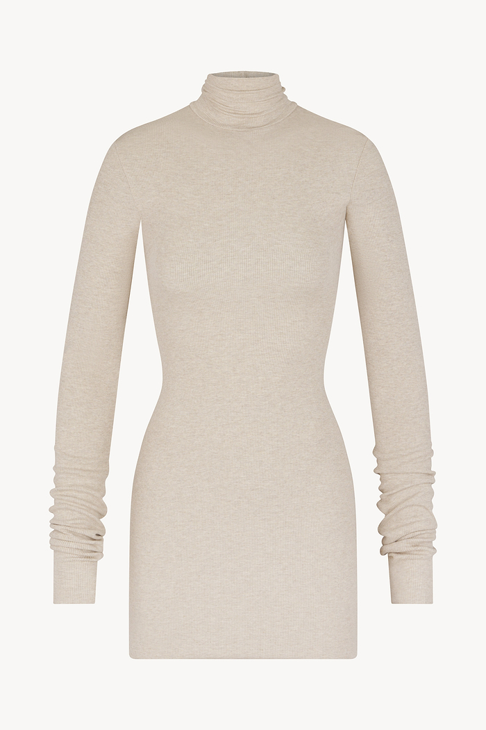 LONG SLEEVE TURTLENECK MINI DRESS