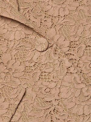 Close-up of the Chamberlain Lace Blazer in beige, showcasing intricate floral lace, a covered button, and part of the lapel—an elegant, office-ready piece ideal for a classic suit ensemble.