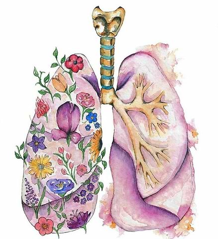 Quit Smoking