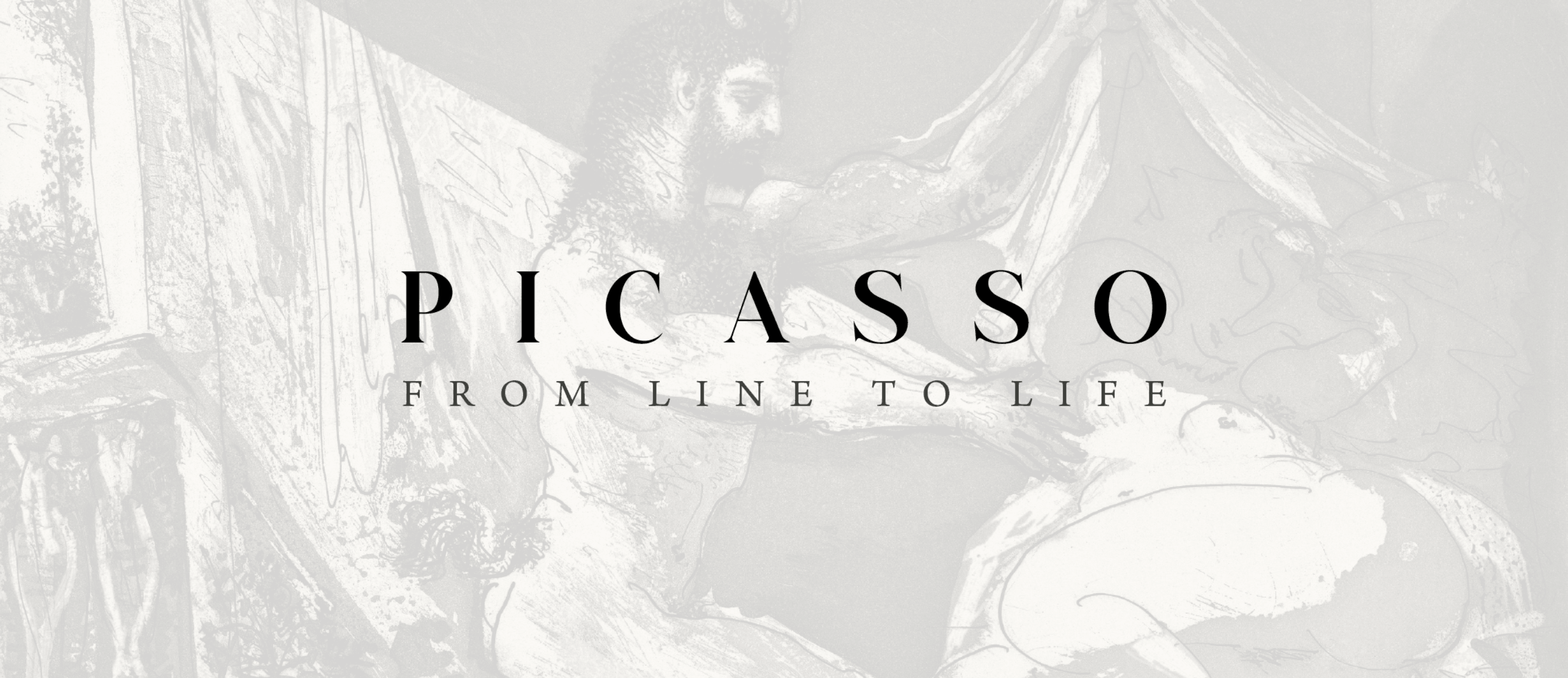 Picasso - From Line to Life