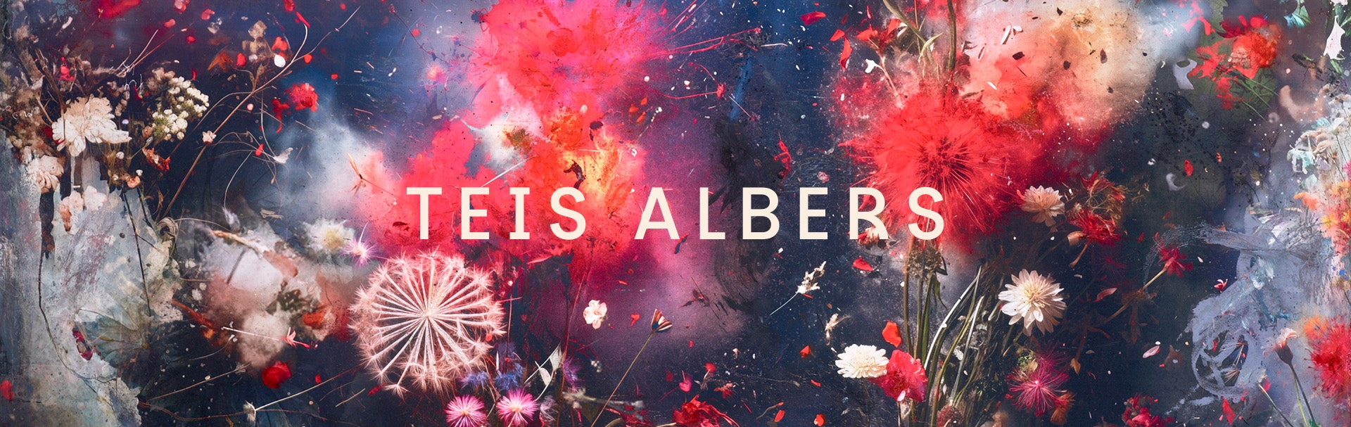 Teis Albers
