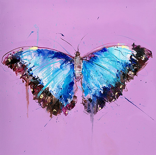 Butterflies