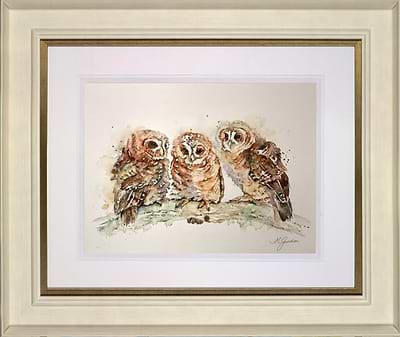 Waiting- Trio Of Tawny Owlets