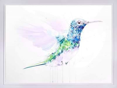 Hummingbird V