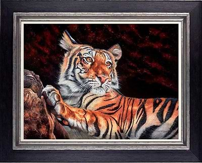 Bengal Beauty (Framed)