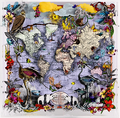 Navigators Floating Map - Ostrich Discoveries of the world