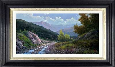 Paisaje de Pirineos (Framed)