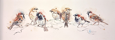 Family of Chattering Housesparrows