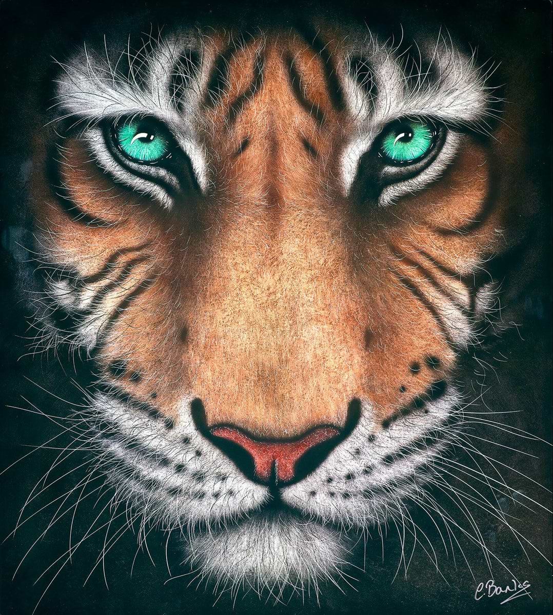 Eye of the Tiger