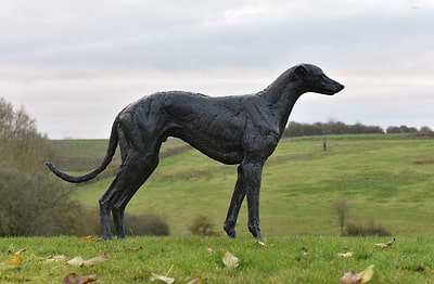 Greyhound - 2022