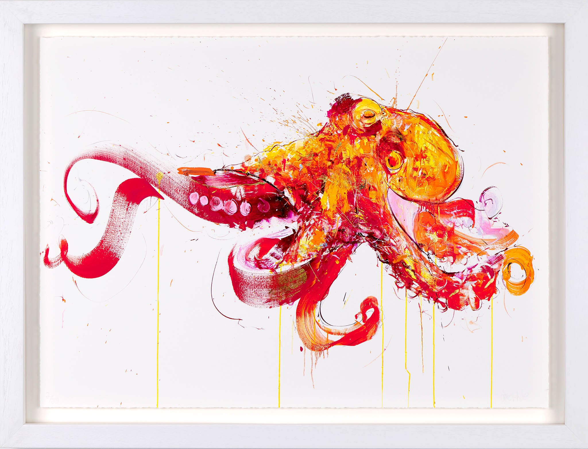 Manta Ray | Dave White – Clarendon Fine Art