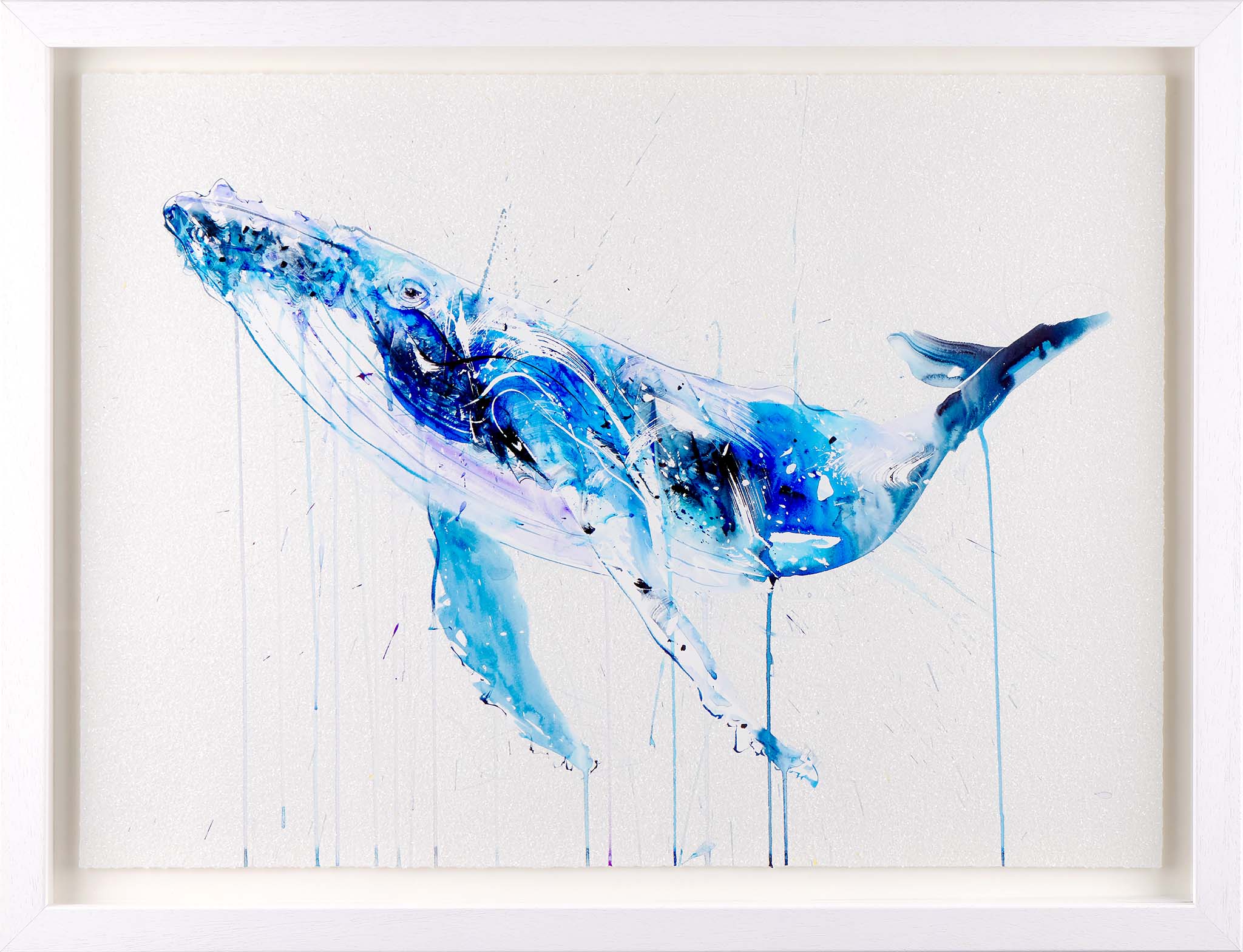 Orca | Dave White – Clarendon Fine Art
