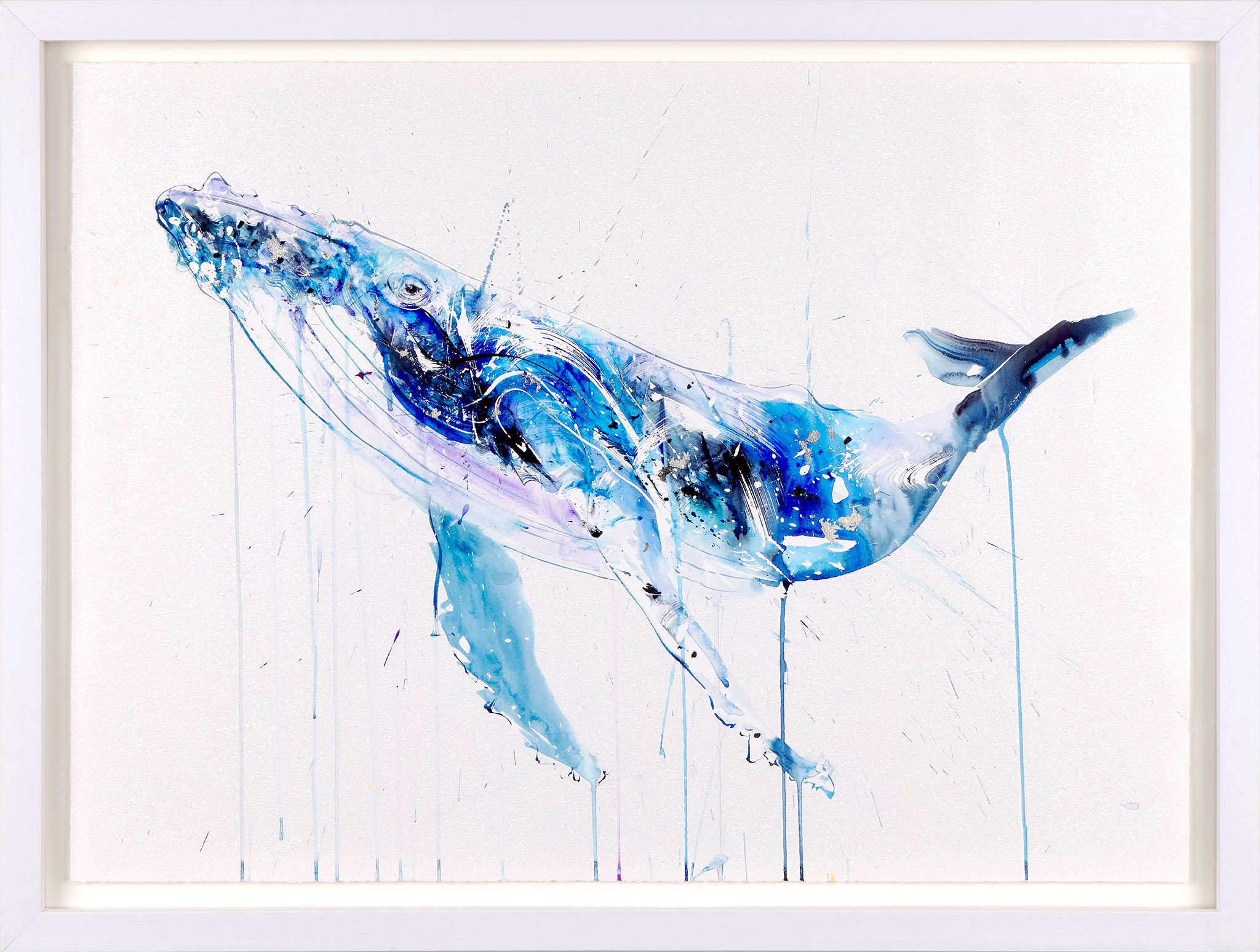 Manta Ray | Dave White – Clarendon Fine Art