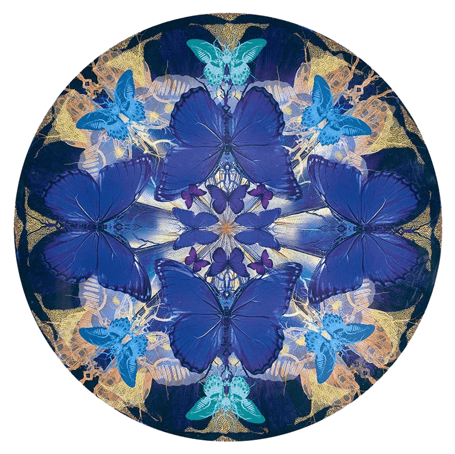 Buy Butterfly Art - Original Paintings & Limited Editions