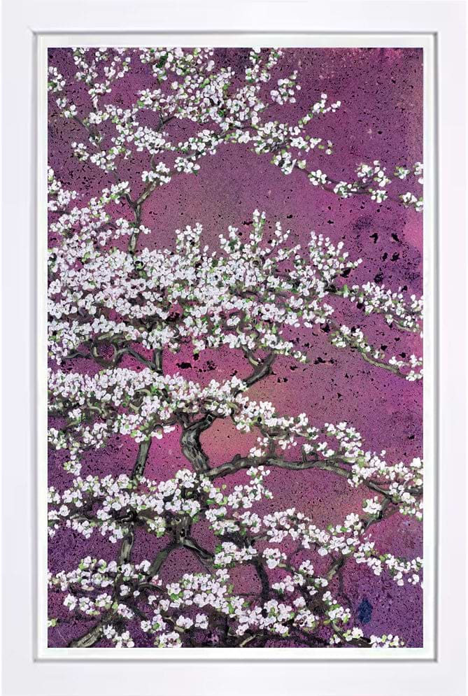 Flowering Oshima Cherry Blossom | Jack Frame – Clarendon Fine Art