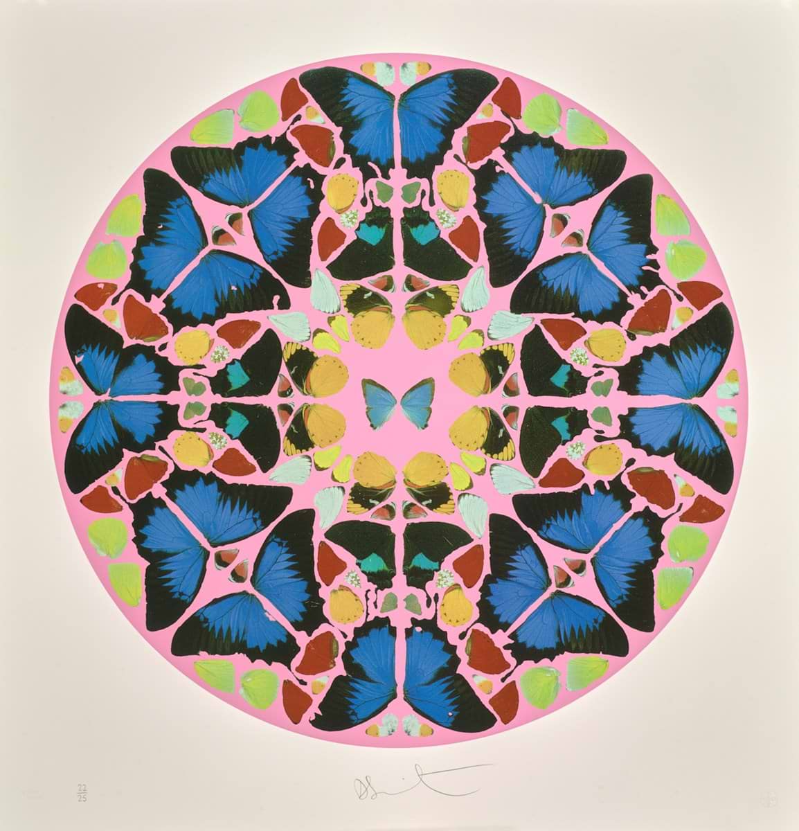 Fruitful (Large) | Damien Hirst – Clarendon Fine Art