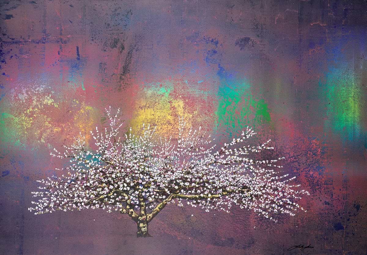 Silver Dawn | Jack Frame – Clarendon Fine Art