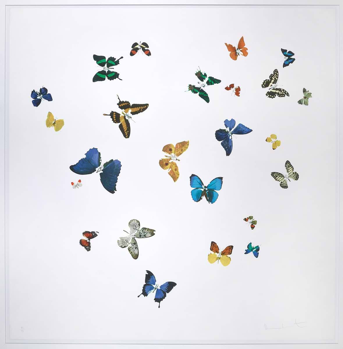 Star Spin | Damien Hirst – Clarendon Fine Art