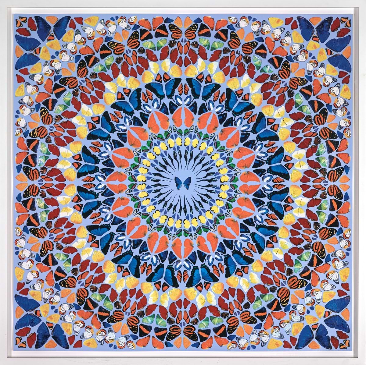 Fruitful (Large) | Damien Hirst – Clarendon Fine Art