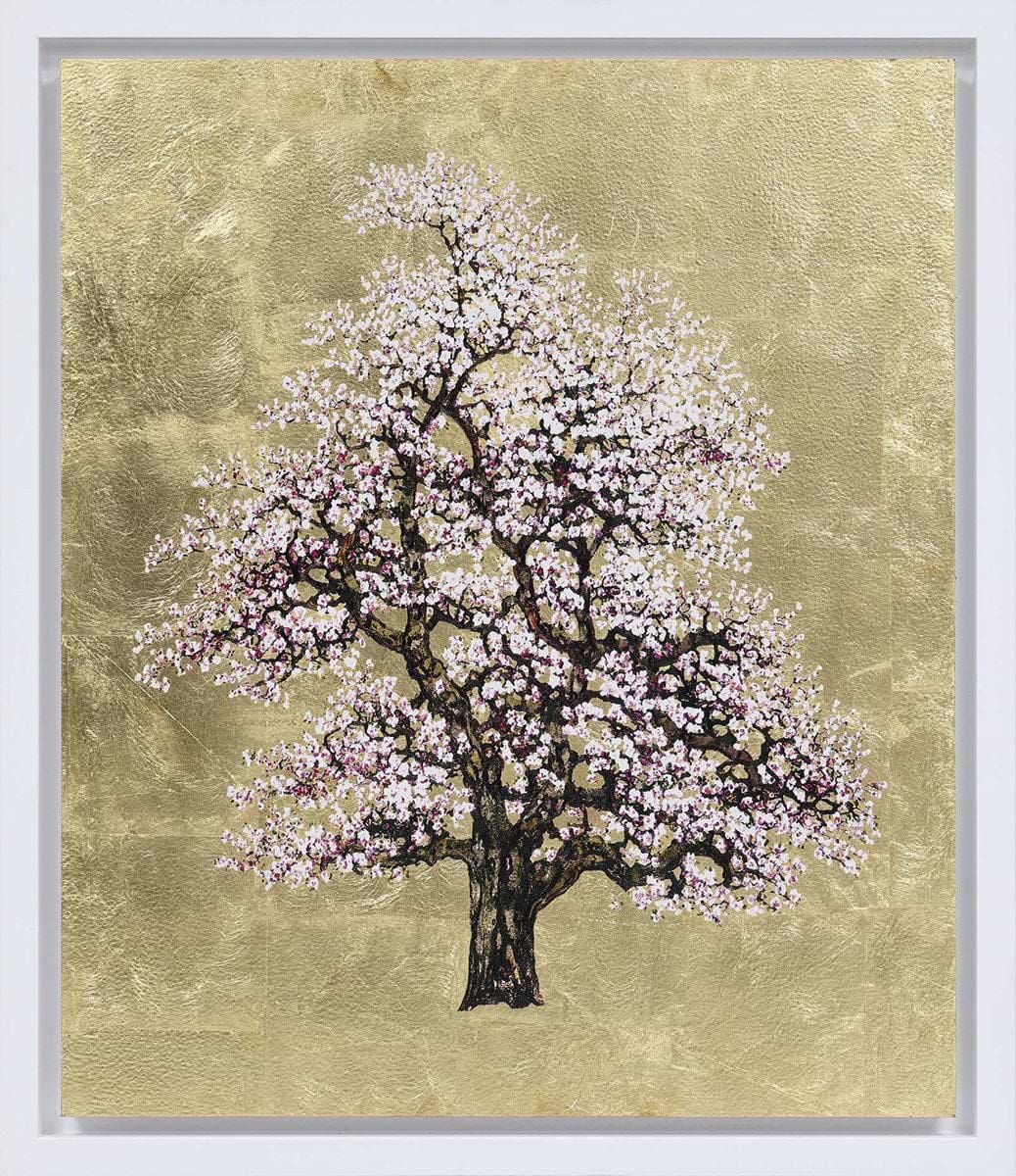 豆の花絵 シルバーフレーム Silver Dawn | Jack Frame – Clarendon Fine Art