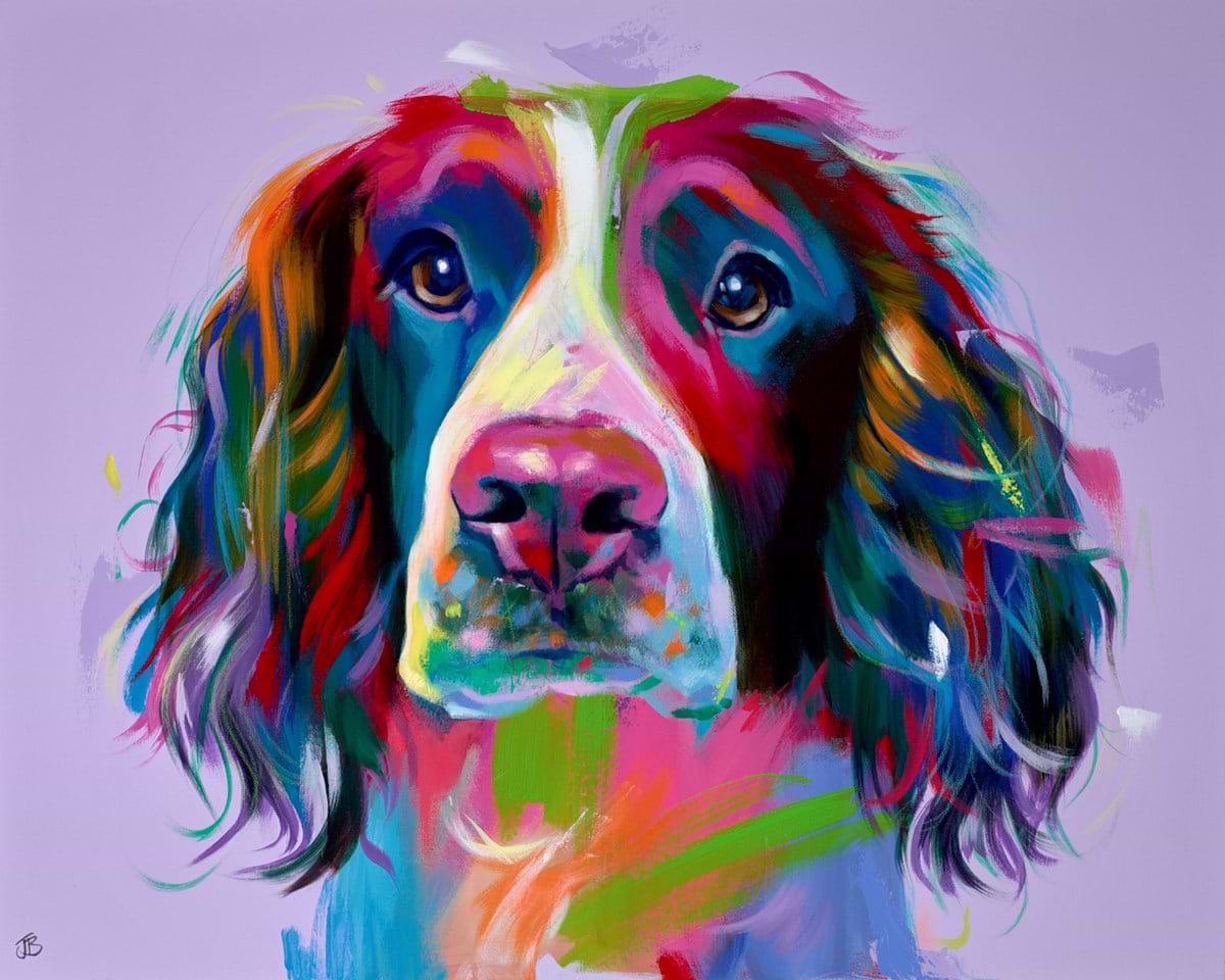 Chihuahua Aura | Jenny Bardell – Clarendon Fine Art