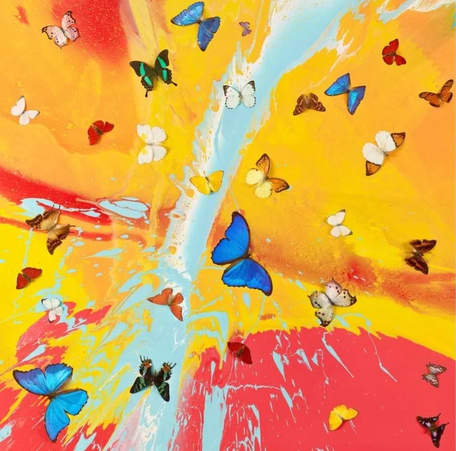 Buy Butterfly Art - Original Paintings & Limited Editions