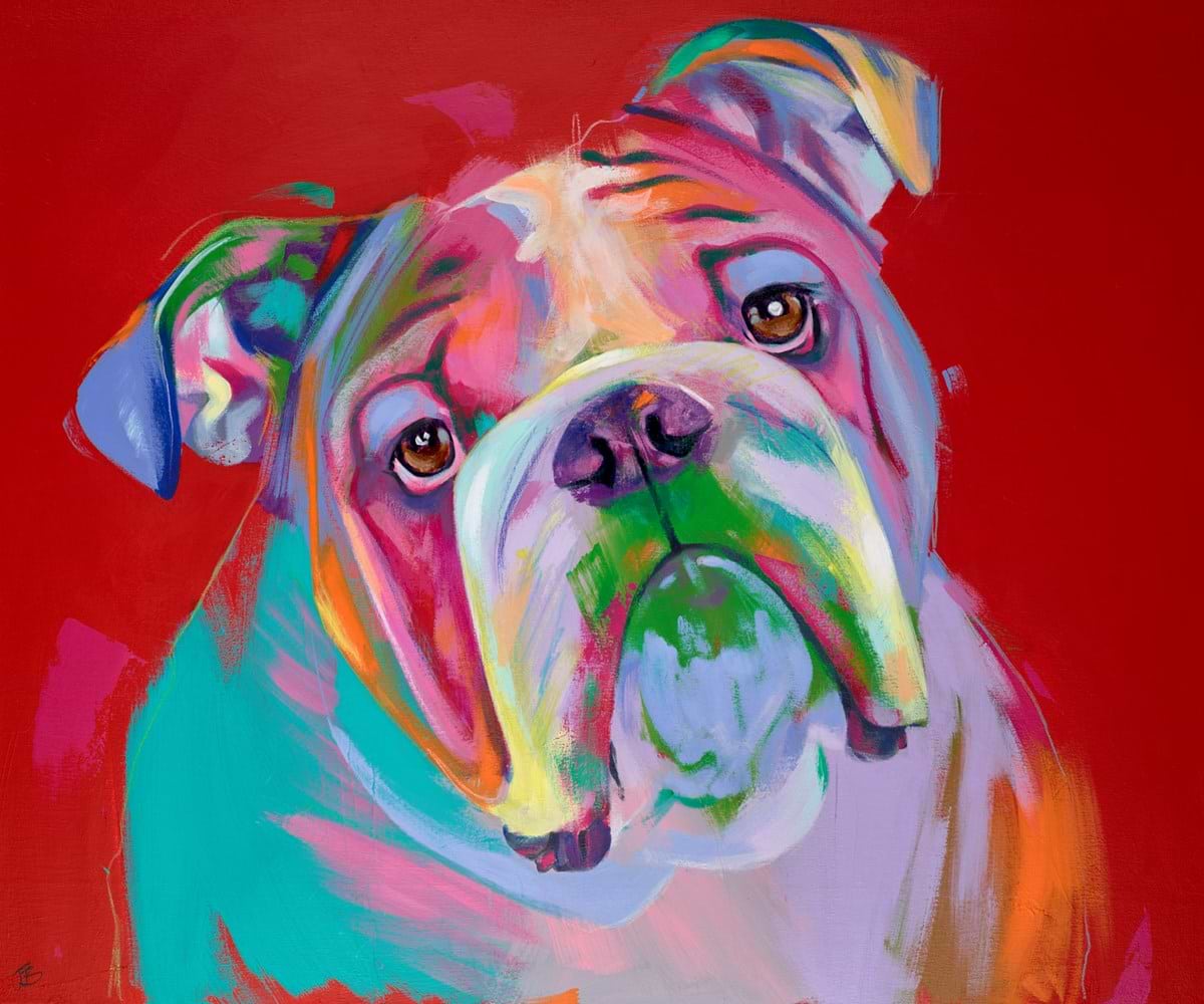 Chihuahua Aura | Jenny Bardell – Clarendon Fine Art