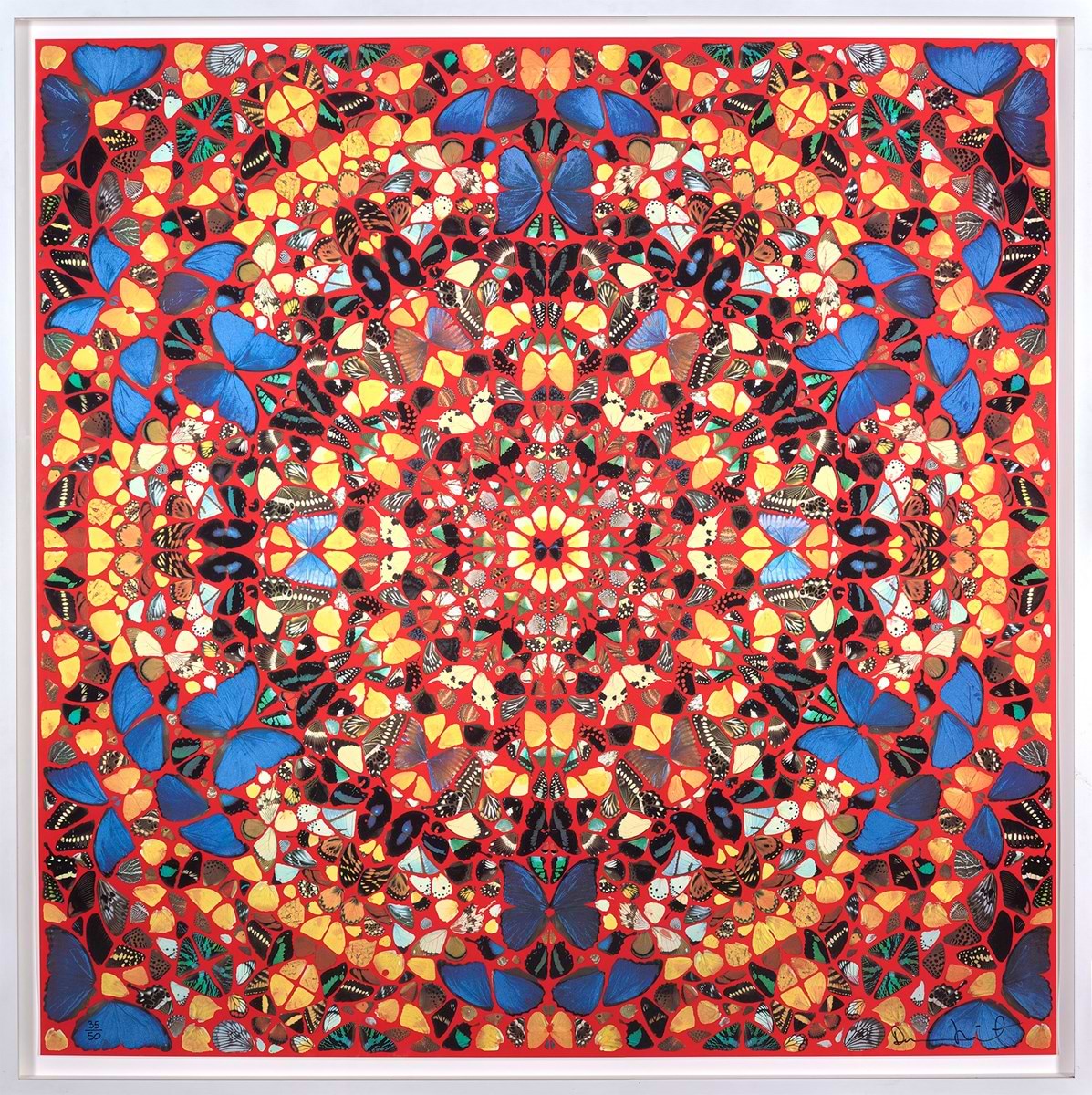 Fruitful (Large) | Damien Hirst – Clarendon Fine Art