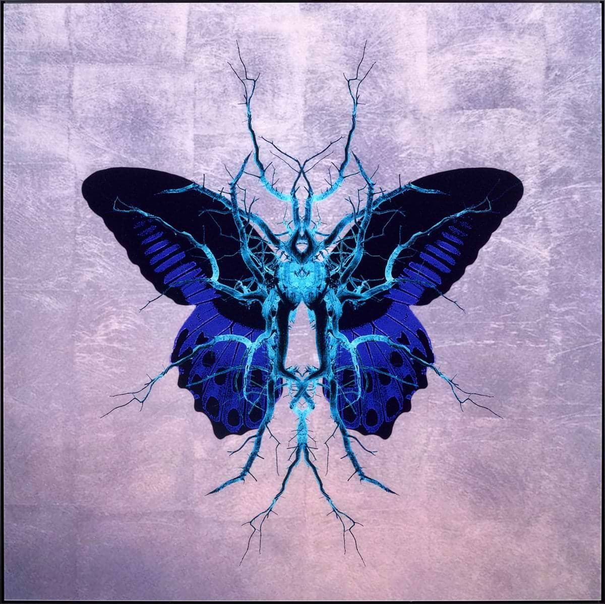 フロイドアート蝶々#4 Buy Butterfly Art - Original Paintings & Limited Editions