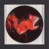 Red Squirrel Study