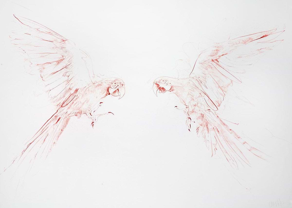 Flight Study III