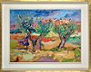 Olive Trees , Toledo