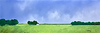 Between Fields & Sky