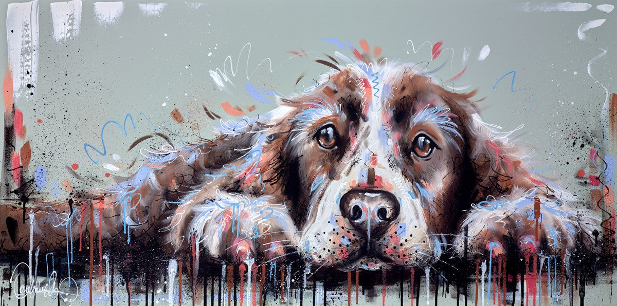Spaniel Snoozes II