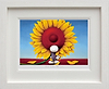 Here Comes The Sun (Framed)