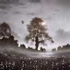 This Enchanted Dawn