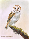 Ready to Fly III