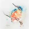 Mini Kingfisher