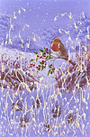 Feeling the Cold II